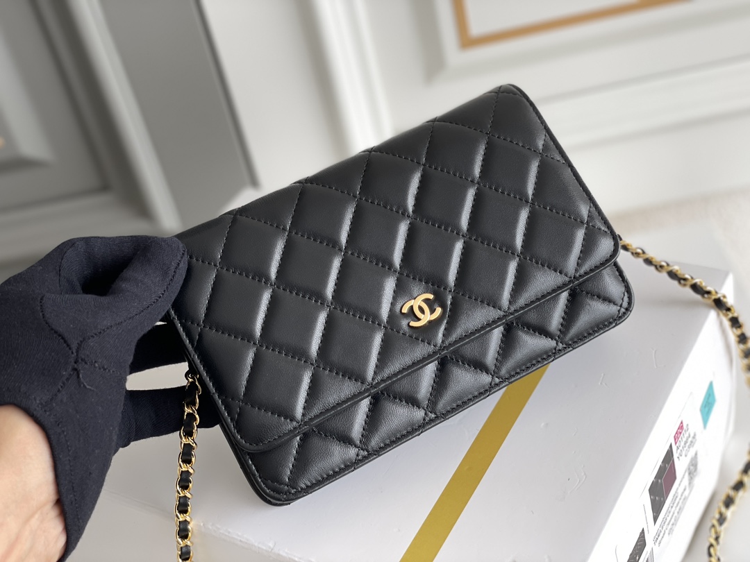 Chanel WOC Bags